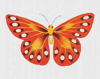DIGITAL DOWNLOAD Colorful Orange Watercolor Butterfly Orenco Originals Counted Cross Stitch Pattern Chart