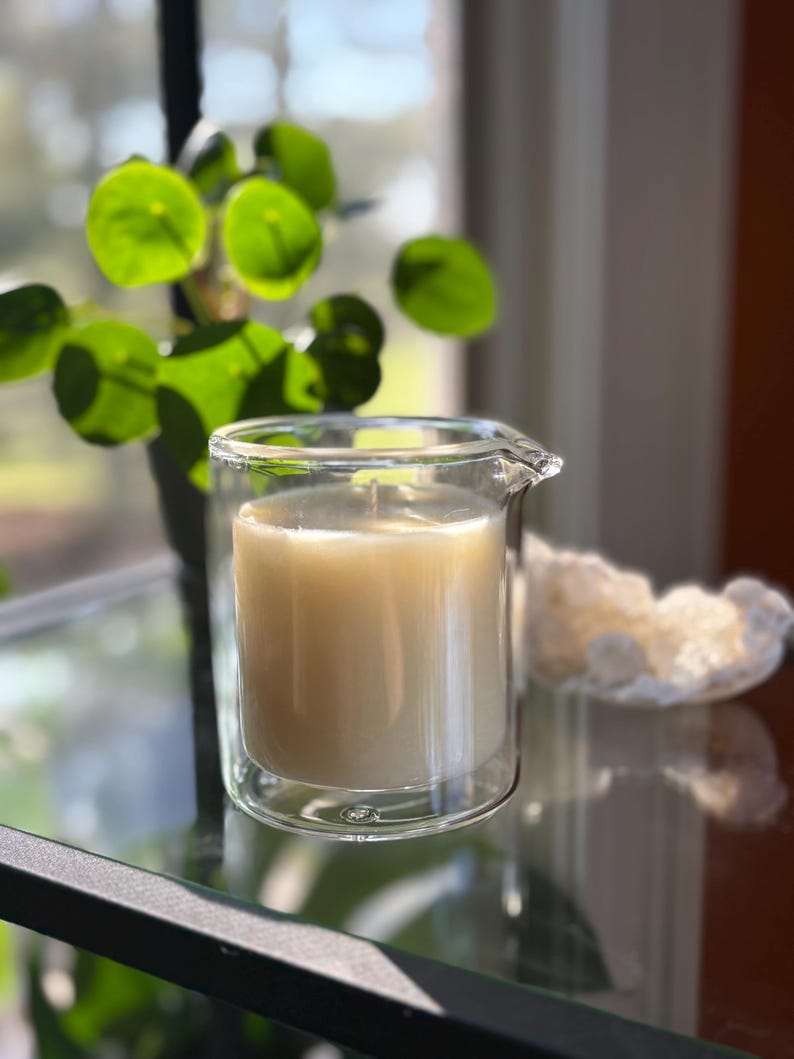 May include: A clear glass candle holder with a light-colored candle inside. The candle holder has a double-walled design and a small spout. A green plant is visible in the background, along with a white, textured object.