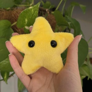 Handmade Lucky Star Fidget Beanie Plushie