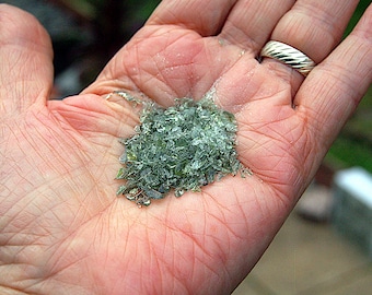 2 gm Cheap Moldavite DUST Star Born Creation Crystal Genuine Authentic Spiritual Healing Reiki