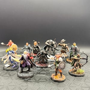 May include: A collection of ten hand-painted fantasy miniature figurines arranged in a group. The figures include various warriors, archers, and spellcasters with detailed armour, weapons, and cloaks, each standing on a small circular base.