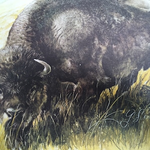 Solonevich George Roanoke Virginia signed prints buffalo from original painting