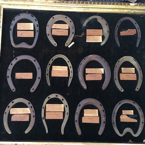 Harness racing immortals shoes Dexter, Maud S, Sunol, late 1800 Nancy Hanks, Alix, Direct, Mascot, Flying Jib, Jay Eye See, Directum, Arion,
