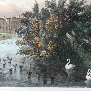 Isola sul lago e parte di Cornwall & Clarence Terrace, incisione su acciaio di Regents Park menta condizione 1828 e cigni