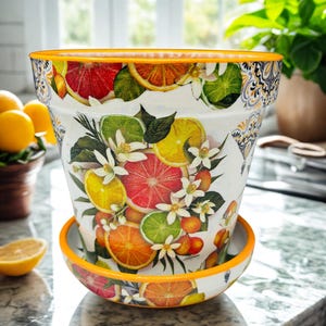 May include: A white ceramic plant pot with a matching saucer, featuring a vibrant botanical print of sliced citrus fruits including oranges, grapefruits, and limes, interspersed with white blossoms and green leaves, finished with a bright orange rim.