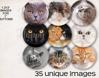 Cat Faces Digital Collage Sheet - 1.313 inch Round Circles for 1" Inch Buttons Magnets Badge Reels INSTANT DOWNLOAD