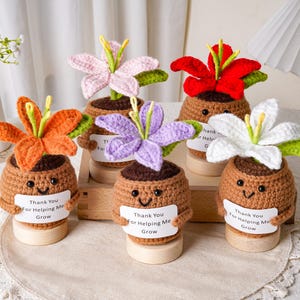 May include: Five crocheted potted flowers in orange, pink, red, purple, and white, each featuring a brown pot with a smiling face, green leaves, and a white sign held by small arms that reads, Thank You For Helping Me Grow, set on wooden bases.