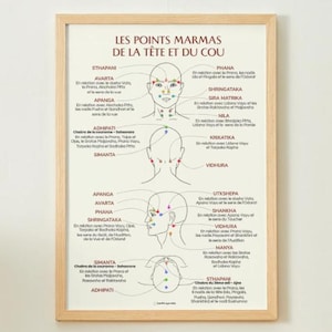 Puede incluir: Una impresión enmarcada con un marco de madera clara. La impresión presenta ilustraciones de la cabeza y el cuello con puntos etiquetados en francés. Las ilustraciones muestran las vistas frontal, posterior y lateral de la cabeza, con puntos y líneas de colores.