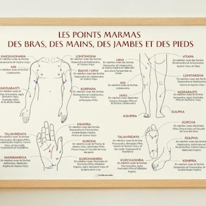 Puede incluir: Una impresión enmarcada con un marco de madera clara muestra un diagrama del cuerpo humano con puntos etiquetados. El texto "LES POINTS MARMAS DES BRAS, DES MAINS, DES JAMBES ET DES PIEDS" está en la parte superior. El diagrama muestra brazos, manos, piernas y pies.
