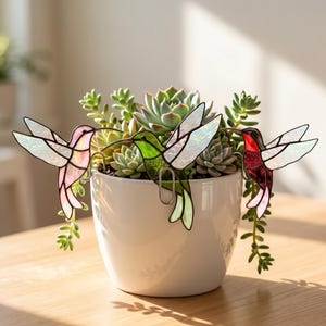 May include: Three stained glass hummingbird decorations in pink, green, and red, perched on a white ceramic pot filled with succulents. The hummingbirds have iridescent wings and are attached to the pot with metal clips. The pot sits on a wooden surface.