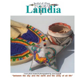 May include: A beaded star-shaped ornament with a lizard design. The star is white with colorful beads and is surrounded by a brown pot and a beaded pouch. The text "between the sky and the earth and the unity of all life" is written below the star.