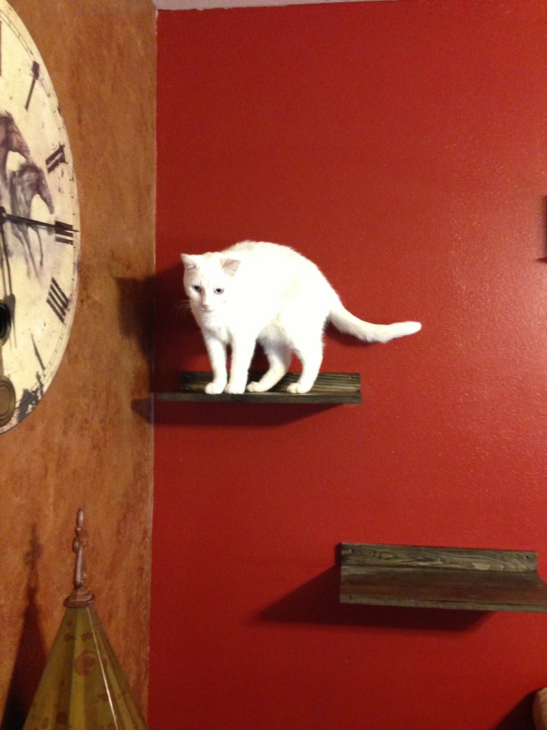 Pet Supplies Set of TWO Cat Climbing Shelves Cat Climbing Cat Toy Cat Shelf Pet Gifts Cat Exercise Pet Furniture Cat Perch