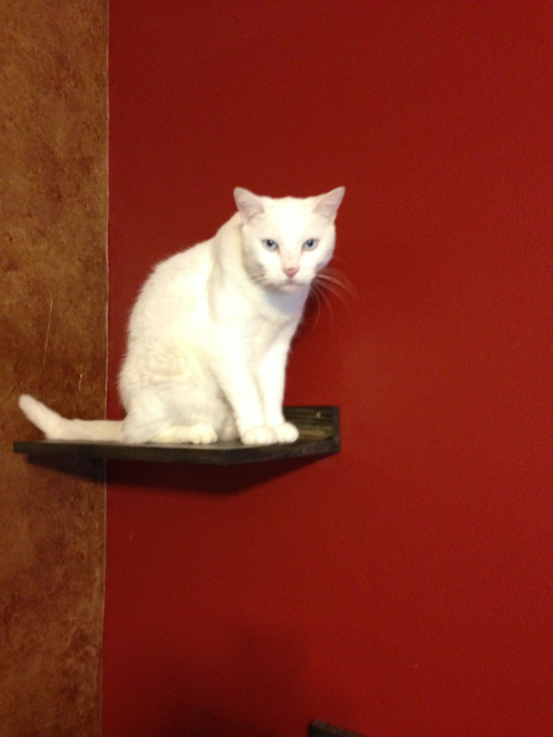 Pet Supplies Set of TWO Cat Climbing Shelves Cat Climbing Cat Toy Cat Shelf Pet Gifts Cat Exercise Pet Furniture Cat Perch