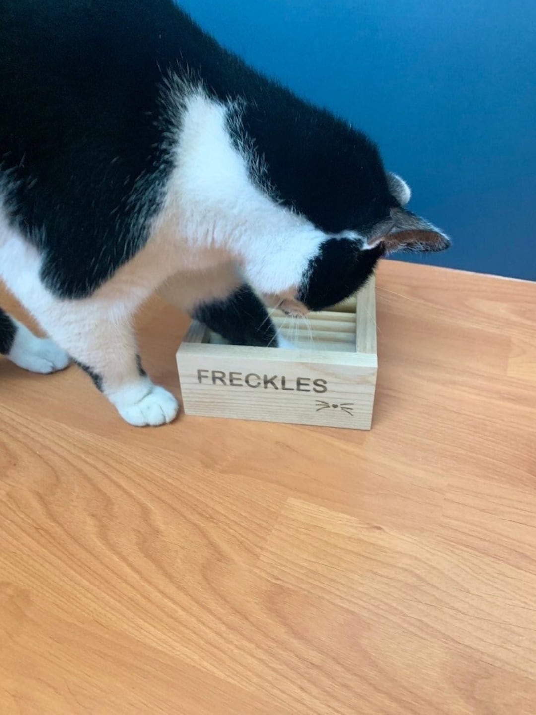 Diy interactive top cat feeder
