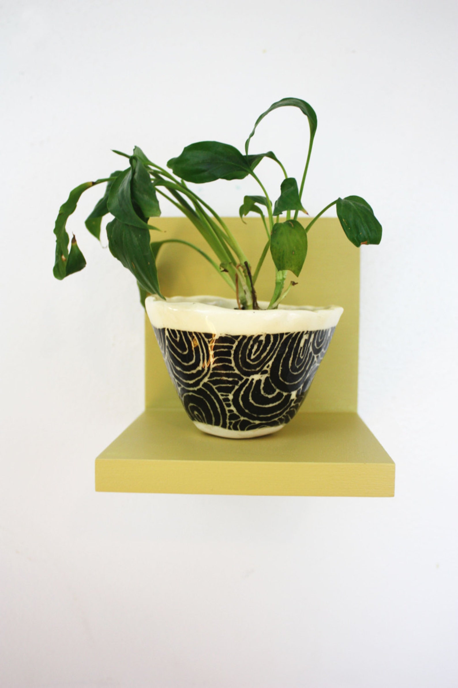 Wooden Accent Wall Shelf Floating Wall Shelf Plant Shelf Etsy