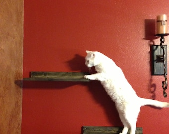 Cat Climbing Shelf - Perfect Perch for Feline Friends - Cat Perch - Pet Furniture - Cat Toy - Cat Retreat - Cat Climbing - Cat Exercise