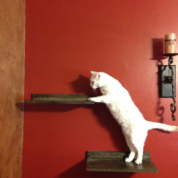 Cat Shelf - Set of TWO Cat Climbing Shelves - Cat Perch - Pet Furniture - Cat Toy  - Cat Climbing - Cat Exercise - Pet Gifts - Pet Supplies