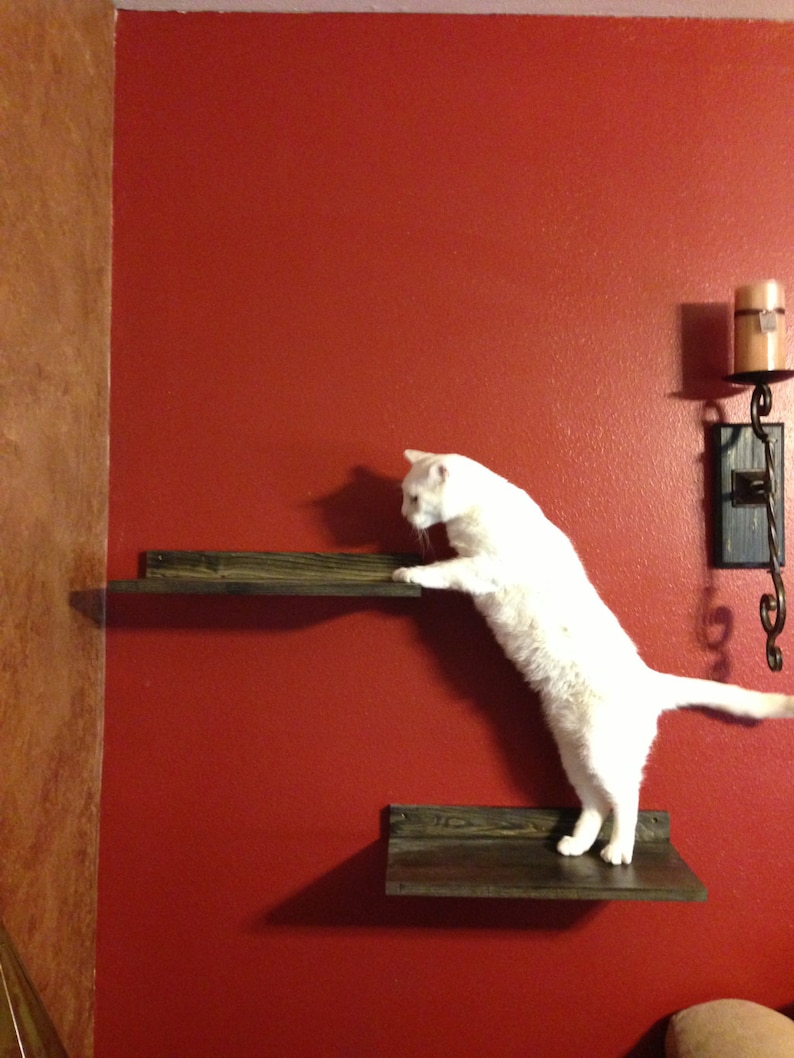 Pet Supplies Set of TWO Cat Climbing Shelves Cat Climbing Cat Toy Cat Shelf Pet Gifts Cat Exercise Pet Furniture Cat Perch