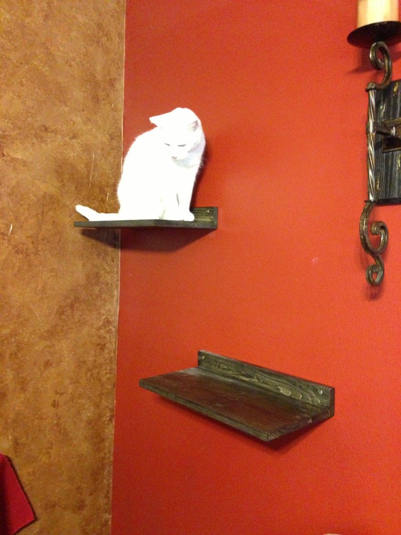 Pet Supplies Set of TWO Cat Climbing Shelves Cat Climbing Cat Toy Cat Shelf Pet Gifts Cat Exercise Pet Furniture Cat Perch