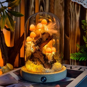 Luminária de cogumelo encantada com cristais brilhantes, luz noturna para terrário de cogumelos, presente exclusivo, decoração elegante para casa, luminária de presente feita à mão