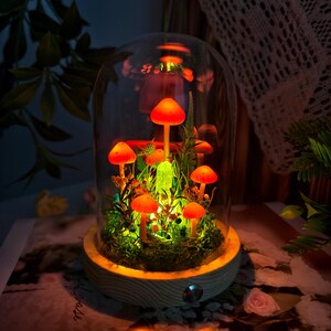 Luminária de cogumelo laranja encantada com cristal, luminária de fada fofa, luz noturna de cogumelo de fantasia, quarto infantil, sala de estar, decoração de casa, presente exclusivo