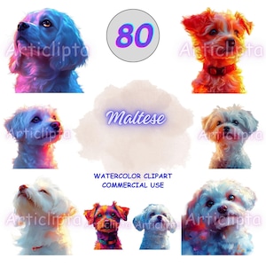 80 Maltese Dog Portrait, Colorful Detailed Pet Art, White Fluffy Clipart Bundle, PNG