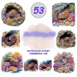 Watercolor Moray Eel Clipart Bundle: Vibrant Reef PNG Images (Digital Download
