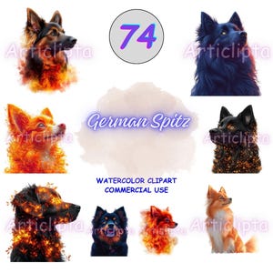 74 German Spitz, Vibrant Dog Art, Colorful Pet Illustration Spitz Breed Clipart Bundle, PNG