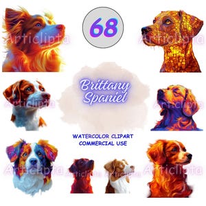 68 Brittany Spaniel, Vibrant Dog Art, Colorful Pet Illustration Active Clipart Bundle, PNG