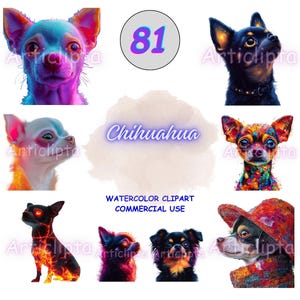 81 Chihuahua Dog Portrait, Colorful Detailed Pet Art, Tiny Breed Clipart Bundle, PNG
