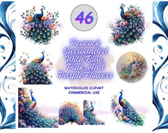 Watercolor Peacock Clipart Bundle Floral Bird PNG Graphics for Commercial Use