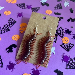 May include: A pair of Halloween-themed earrings featuring a dark red centipede design. The earrings are attached to silver-colored fish hook ear wires and are displayed on a brown card. The background is a purple surface with Halloween-themed confetti.