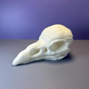 May include: A cream-colored, avian skull replica with a long beak and detailed eye sockets. The skull is set against a purple and gray background, showcasing its anatomical features. This decorative piece is ideal for gothic or natural history themes.