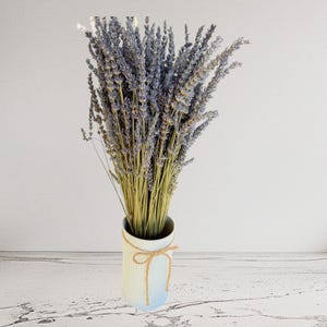 May include: A bouquet of dried lavender in a white and blue vase tied with twine. The lavender has purple flower heads and green stems. The vase has vertical lines and a light blue gradient at the bottom.