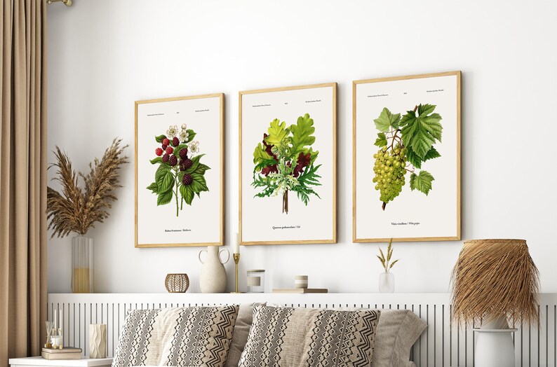 May include: Three framed botanical prints with detailed plant illustrations. The prints depict a blackberry branch, a collection of leaves and flowers, and a bunch of grapes. Each print is in a wooden frame, forming a cohesive wall art set.