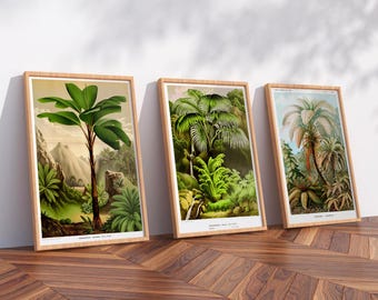 Botanical Wooden Framed Print Set of 3, Vintage Palm Tree Illustrations, Framed Jungle Wall Art for Tropical Decor