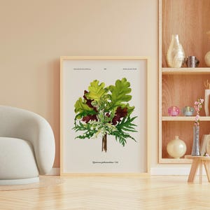 May include: Botanical print of a plant with green and maroon leaves, framed in light wood. The print is leaning against a wall, next to a light-coloured sofa and a wooden shelf with decorative vases.