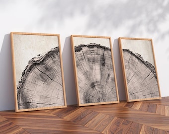 WoodenCrest Wooden Print Wall Art Set of 3 Oak Wood Tree Rings Modern Art Neutral Boho Decor