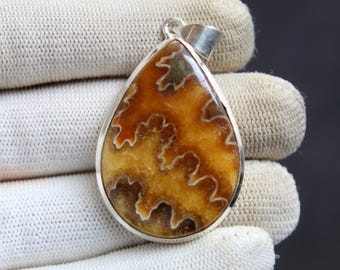 Natural Ammonite Cabochon Pendant, Genuine Fossil Pendant, 925 Sterling Silver Ammonite Necklace, Handmade Fossil Jewelry, Statement Pendant