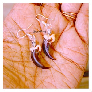Raccoon Claw Earrings/ Real Raccoon Claw Wire Wrap Earrings/ Taxidermy ClawEarrings/ Oddity Bone Earrings/ Preservation Raccoon Earrings imagem 3