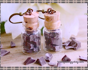 Earrings ,Chocolate Chips Bottle Earrings Clay  Glass 0.5 mm vial Bottle Earrings, Kawaii Jewelry,Food Jewelry,Bakers Gift,