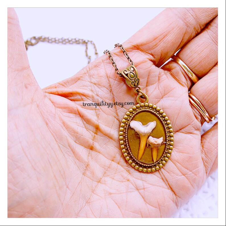 May include: A gold necklace with a pendant featuring two fossilized shark teeth in a bronze oval frame. The pendant has a decorative border of small beads. The necklace is on a hand.