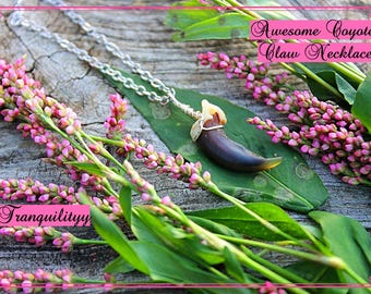 Real Coyote Claw Necklace/ Silver Wire Wrapped Oddity Jewelry/Alternative Jewelry/ Animal Jewelry/ Created By: Von'Dez