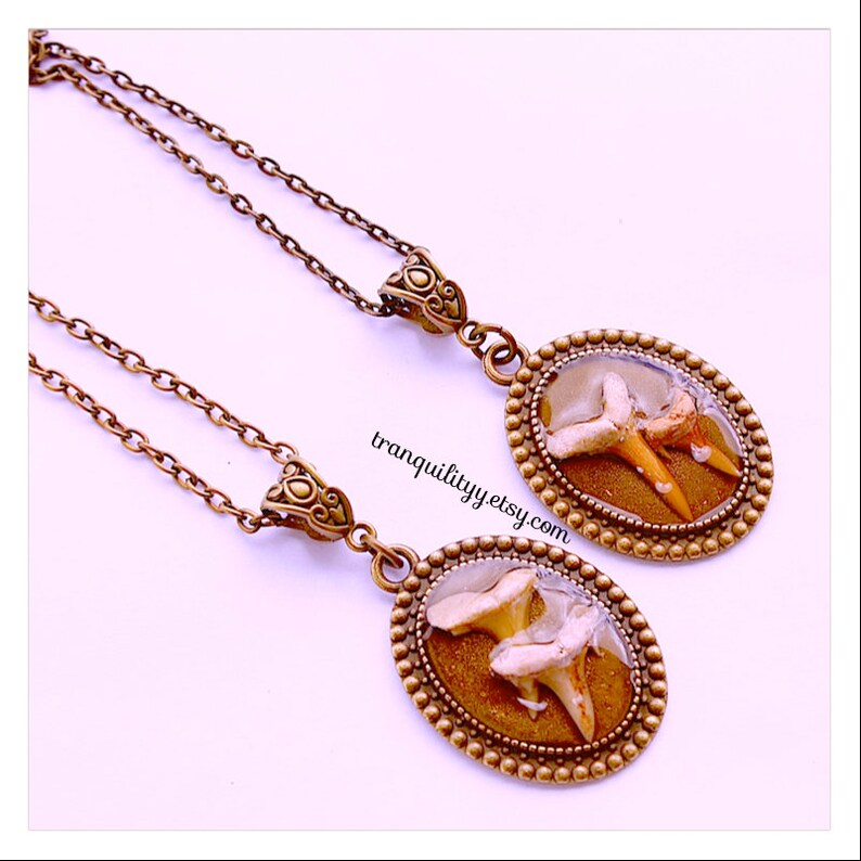 May include: Two gold tone necklaces with oval pendants featuring fossilized shark teeth encased in clear resin. The pendants have a beaded border. The necklaces are on a white background. tranquilityy.etsy.com