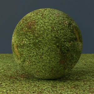 May include: A large, spherical object covered in small green leaves, resembling a ball of foliage. The sphere sits on a surface also covered in the same green leaves, with a dark blue background.