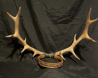 Lyonel Baratheon stag crown