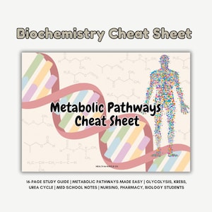 May include: A study guide titled "Biochemistry Cheat Sheet" with the text "Metabolic Pathways Cheat Sheet" in the centre. The design includes a DNA strand and a human figure made of colourful dots. The guide is for students of nursing, pharmacy, and biology.