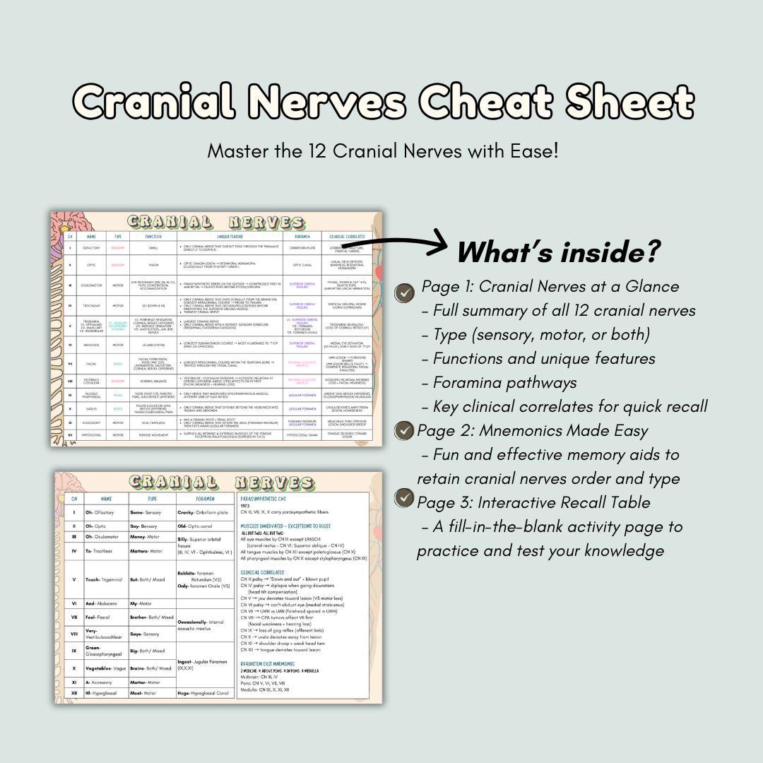 Cranial Nerve Cheat Sheet: Mnemonics, Anatomy Study Guide (PDF ...