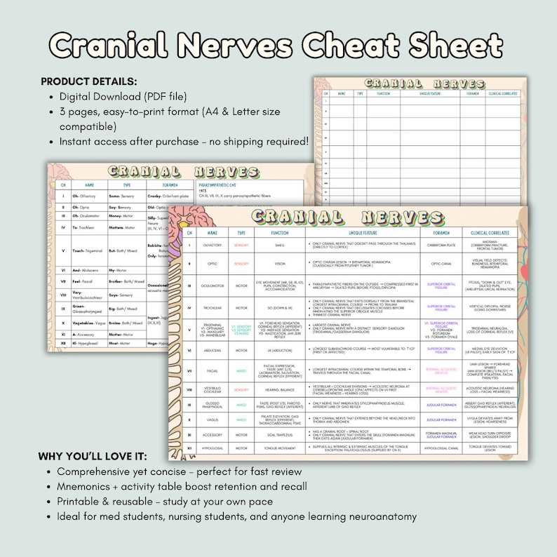 Cranial Nerve Cheat Sheet: Mnemonics, Anatomy Study Guide (PDF ...