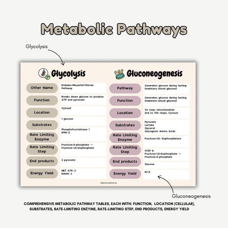 Biochemistry Cheat Sheet and Study Guide| Metabolic Pathways ...